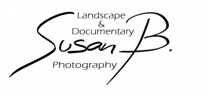 gallery/logo susan brunner landscape-1
